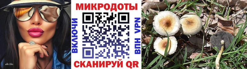 Псилоцибиновые грибы мицелий Удомля